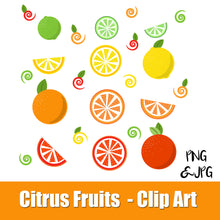 CITRUS FRUITS - CLIP ART- VITAMIN C, orange, grapefruit, lemon, lime - PNG and JPG files -Instant Download-