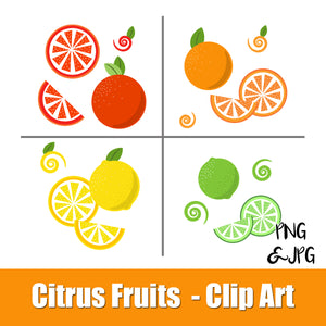 CITRUS FRUITS - CLIP ART- VITAMIN C, orange, grapefruit, lemon, lime - PNG and JPG files -Instant Download-